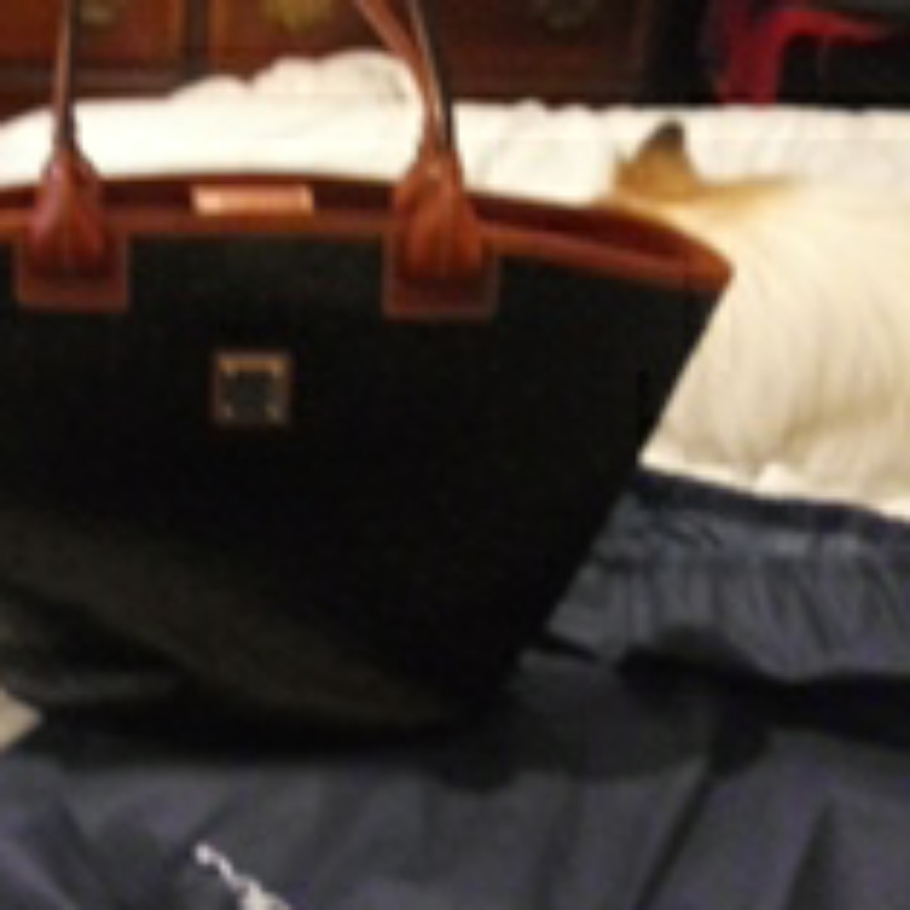 Hand Bag